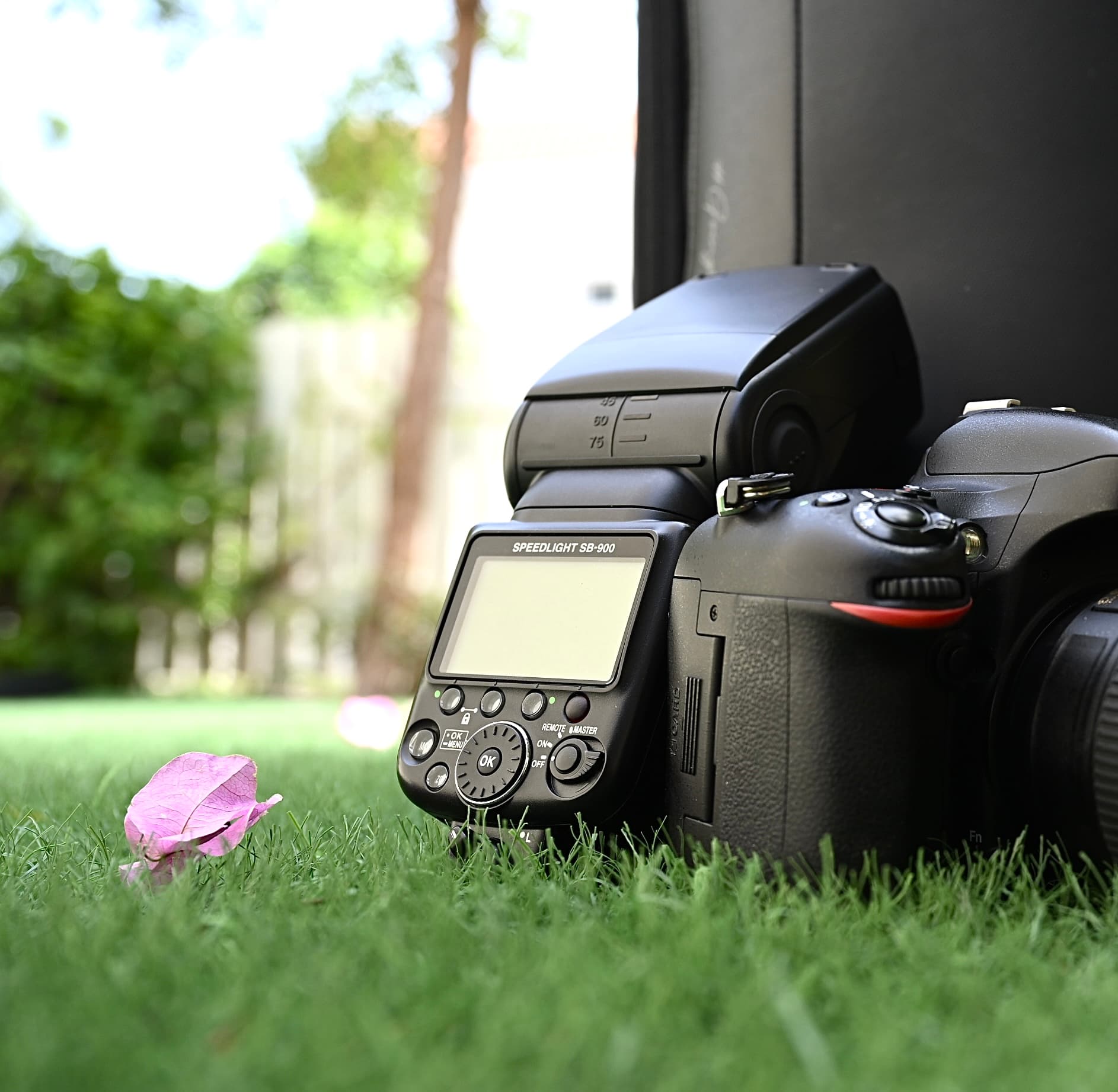 Will Nikon Get Creative With Its Lighting System Again?